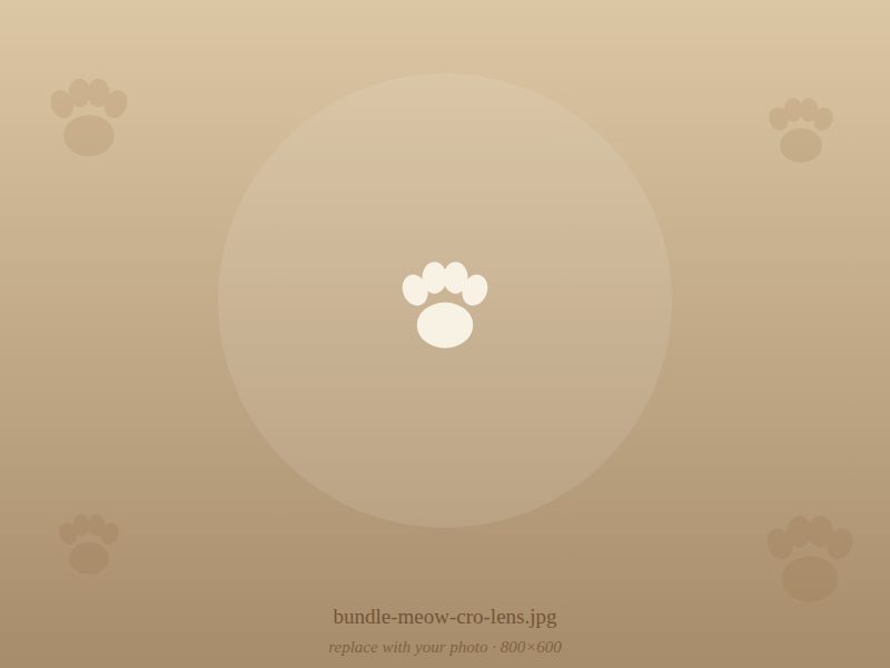 The Meow-cro Lens Cat Pack - two bags of cat treats together