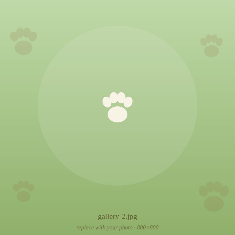 Nakama pet portrait 2