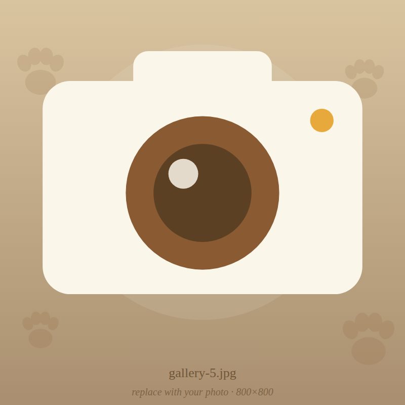 Nakama pet portrait 5