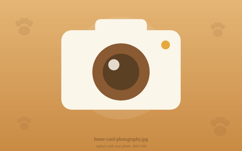 Pet photography sessions with Nakama