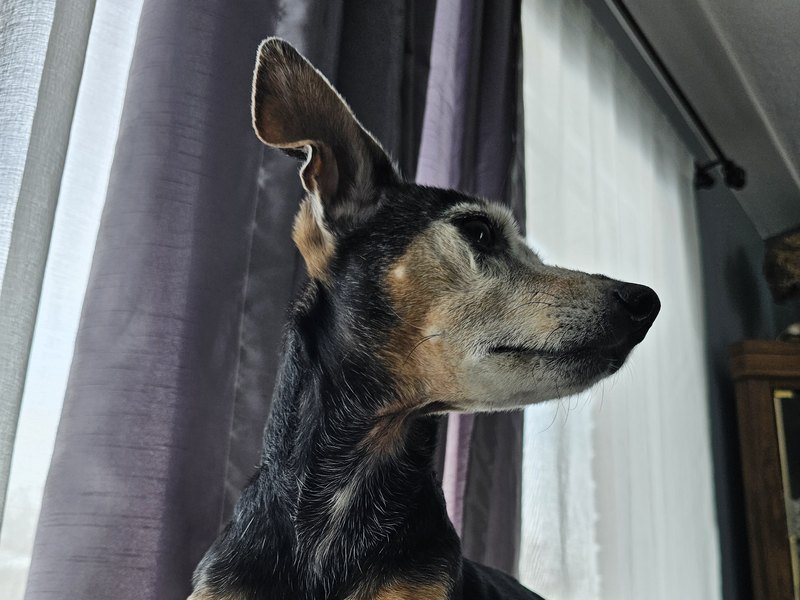 Lacie looking out of the window during a Nakama drop-in visit